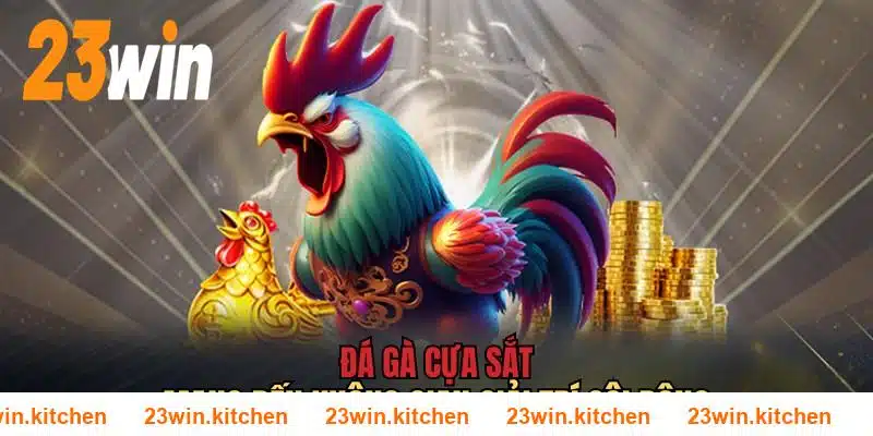 Hòa mình cùng các trận đấu cựa sắt đỉnh cao tại 23WIN