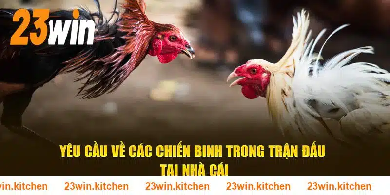 Yêu cầu về các chiến binh trong trận đấu tại nhà cái 23WIN